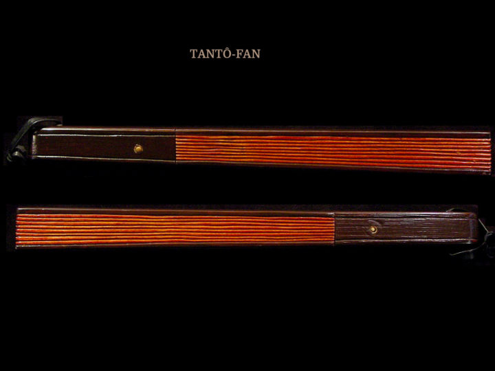 A “FAN” FOR ALL SEASONS