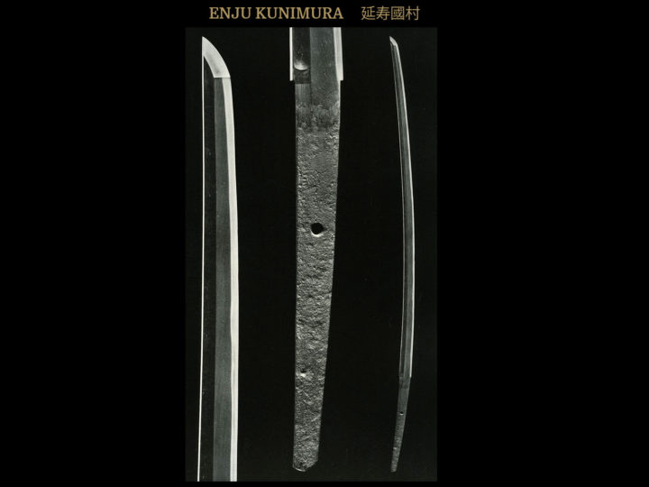 THE ENJU SCHOOL  延寿系